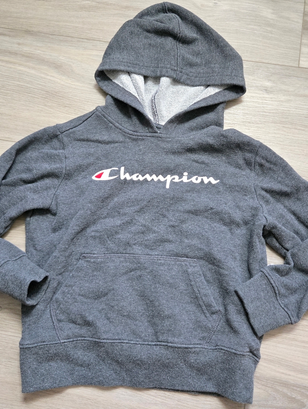 Champion Pullover Hoodie